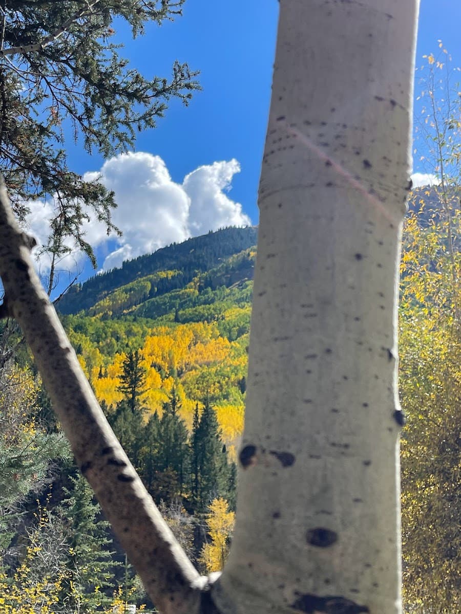 Marble Campground - Meri Daes