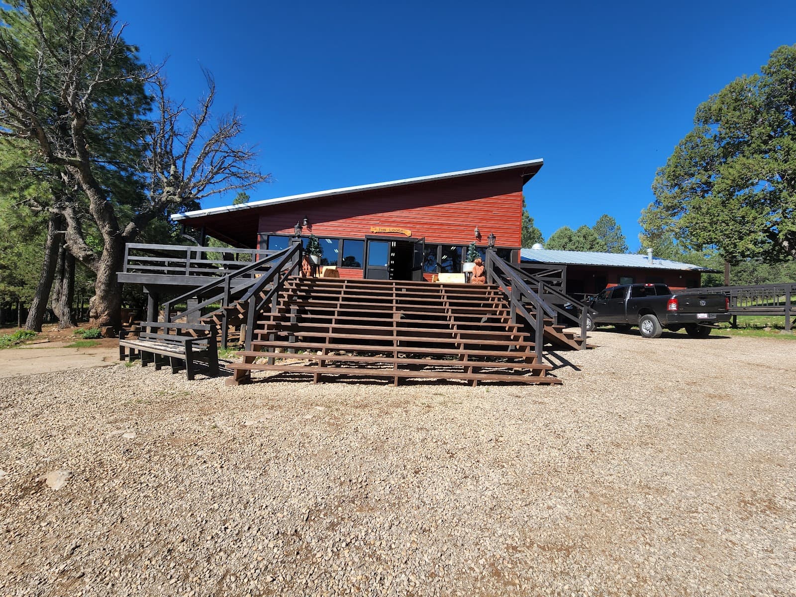 Camp of the Tall Pines