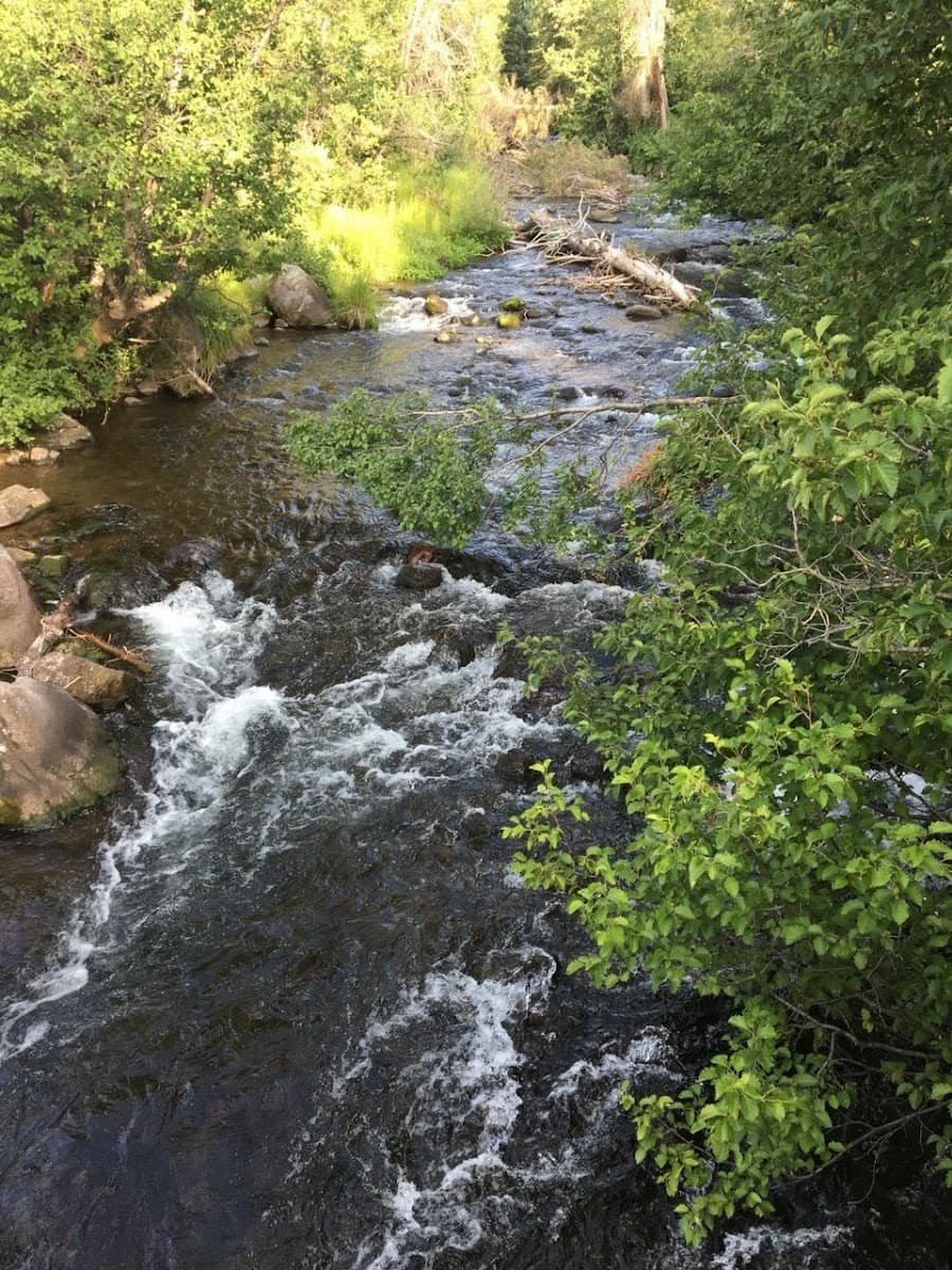 Himes Peak Campground