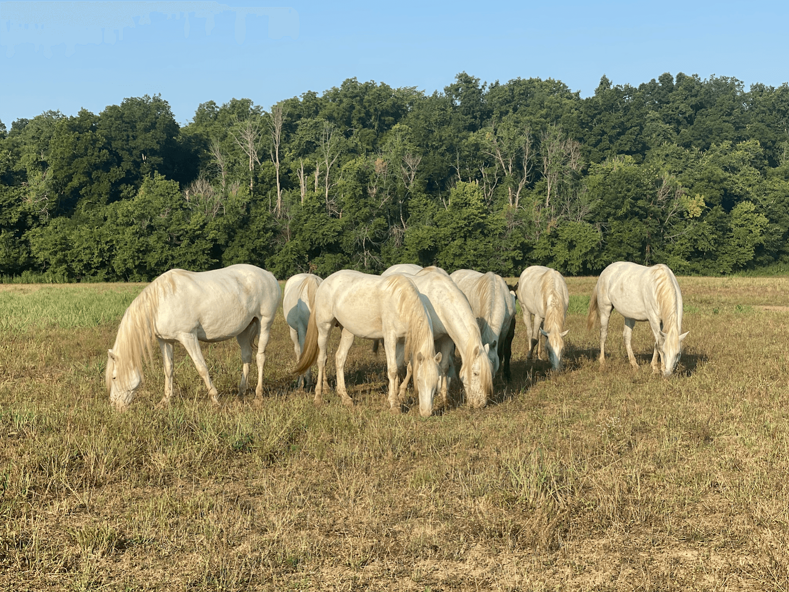 Shawnee Creek Campground