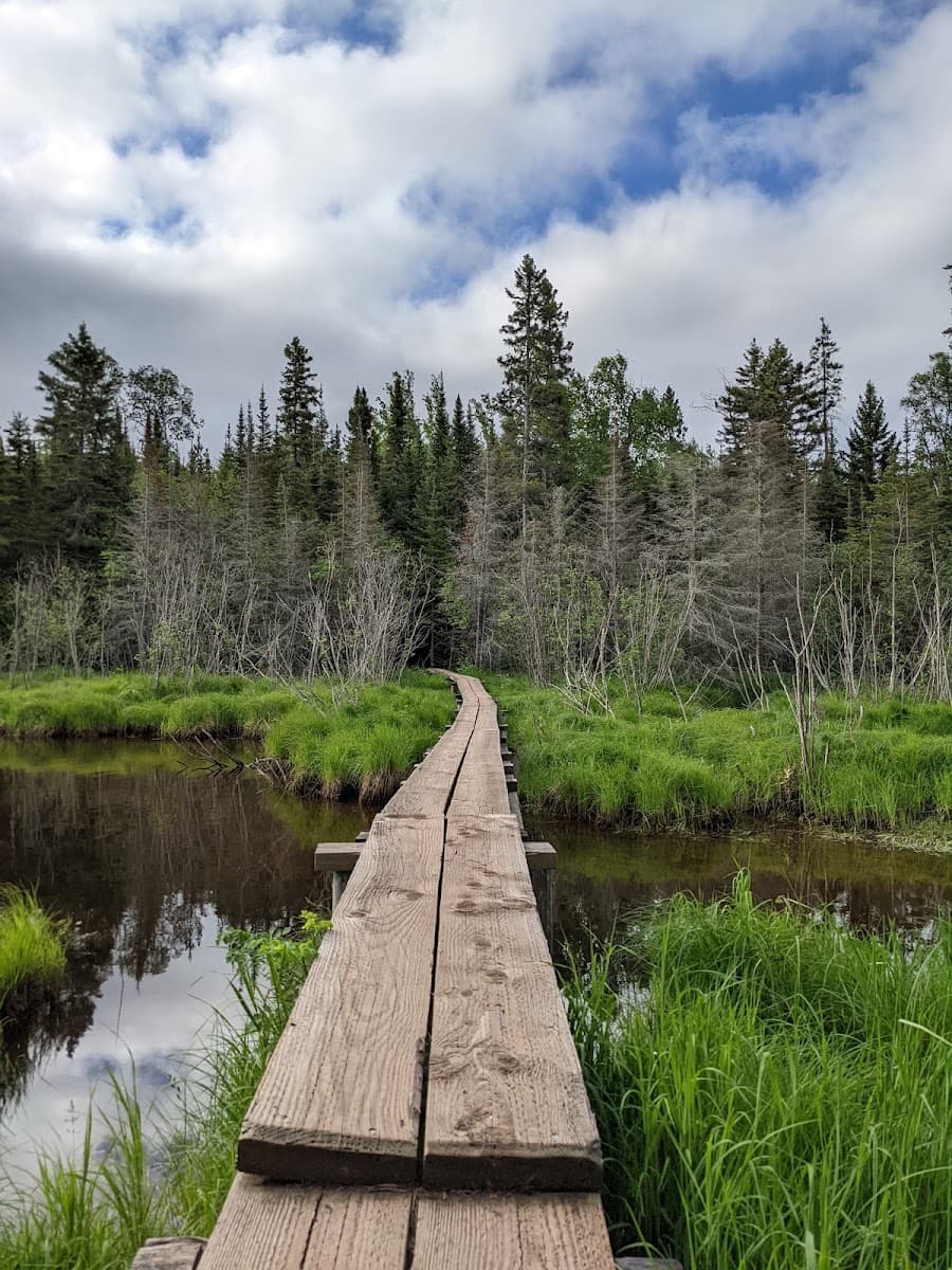 Moskey Basin Campground