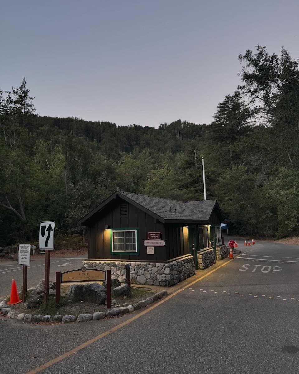 Pfeiffer Big Sur State Park Campground