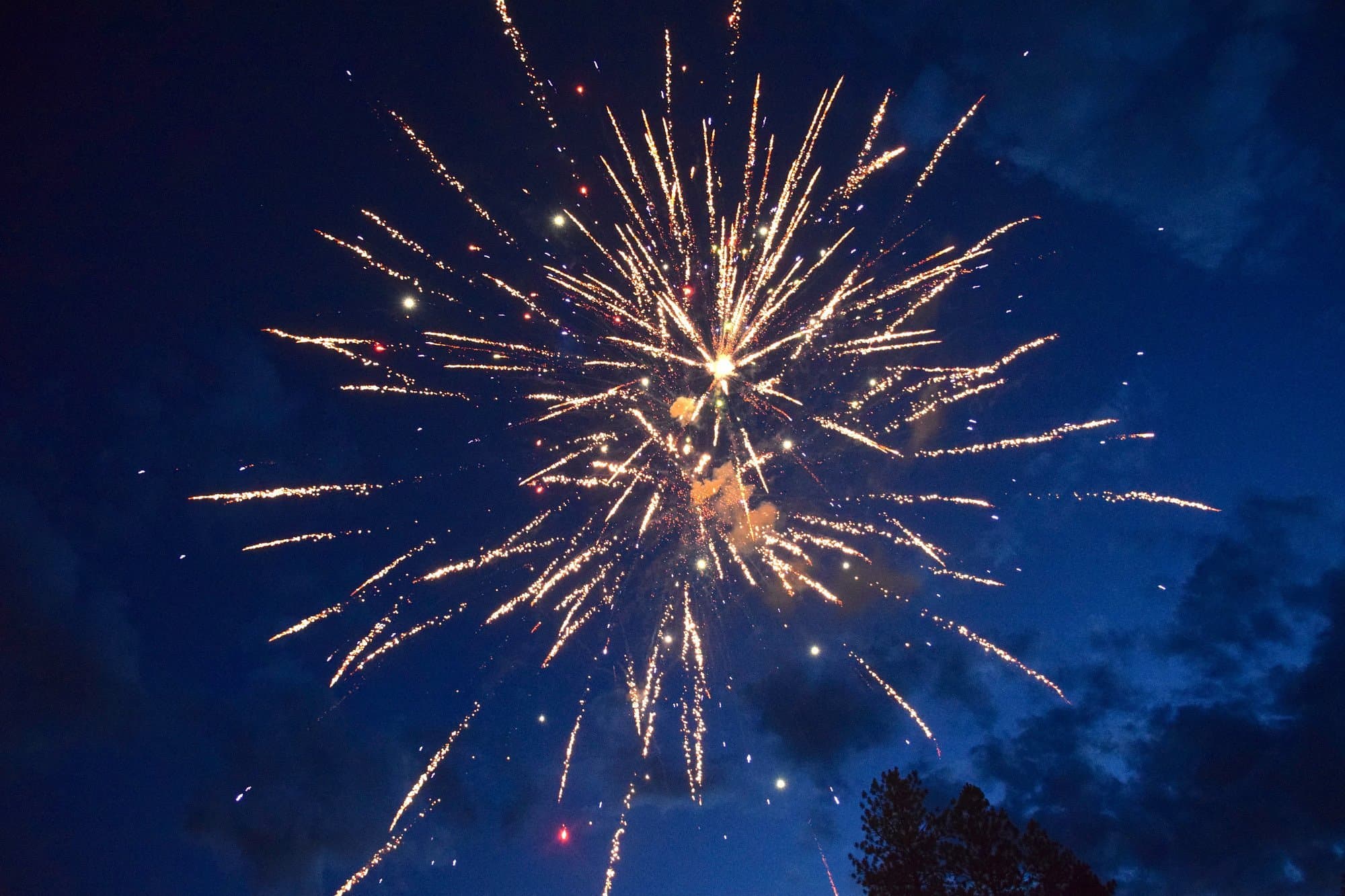 Birdland Bay RV Resort