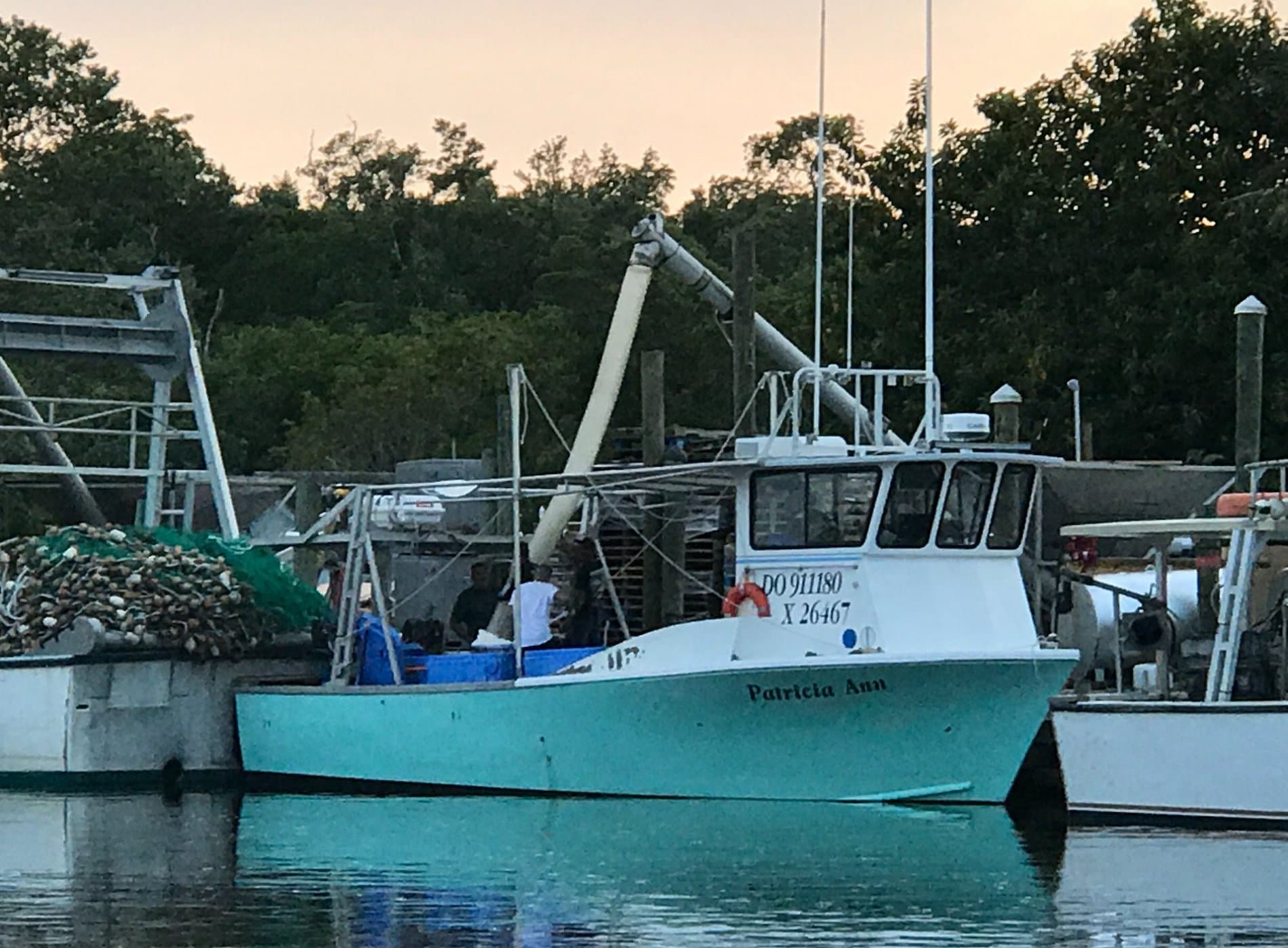 Everglades Isle - Everglades City, FL