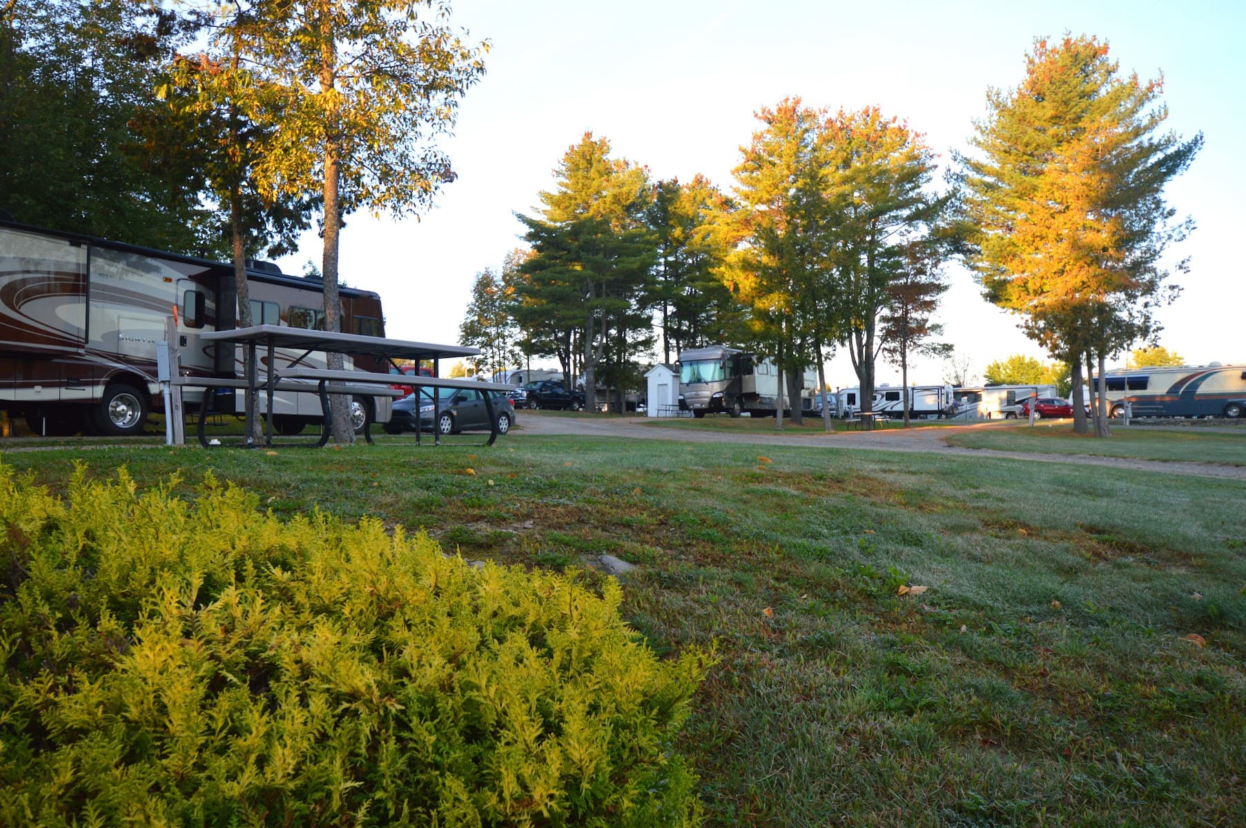 Pumpkin Patch RV Resort