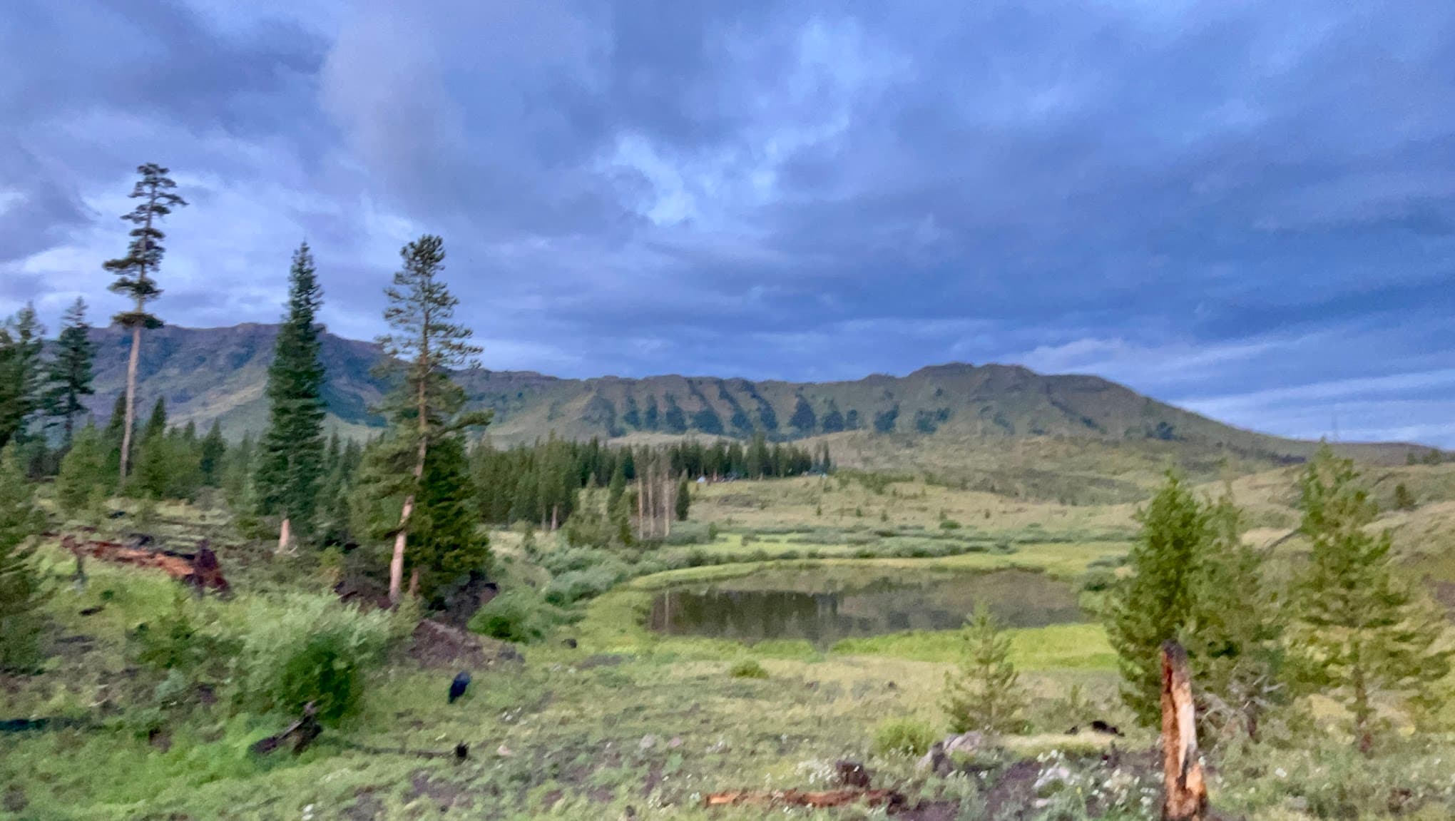 Trappers Lake / Horse Thief Campground