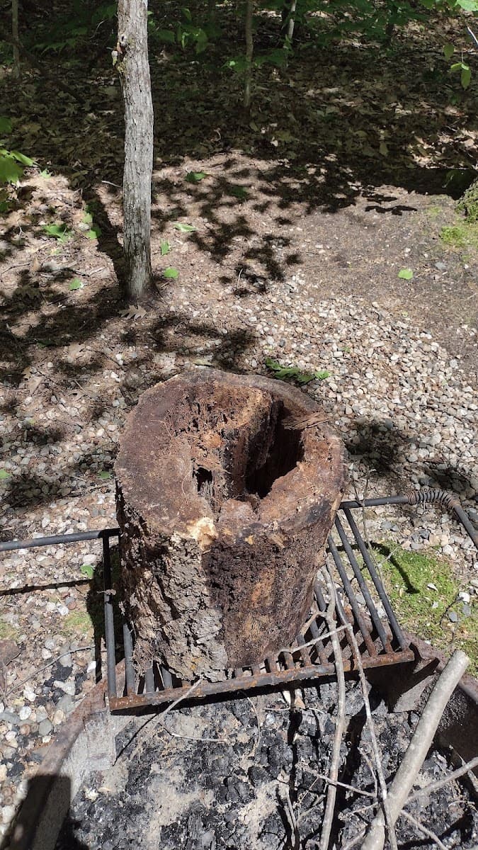 Mark and Linda's Campsite