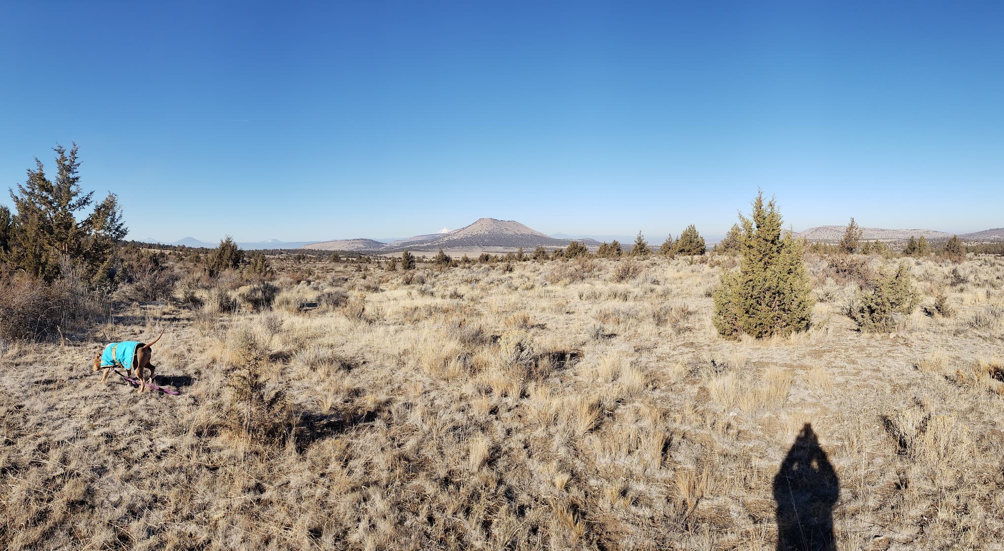 Cyrus Horse Campground