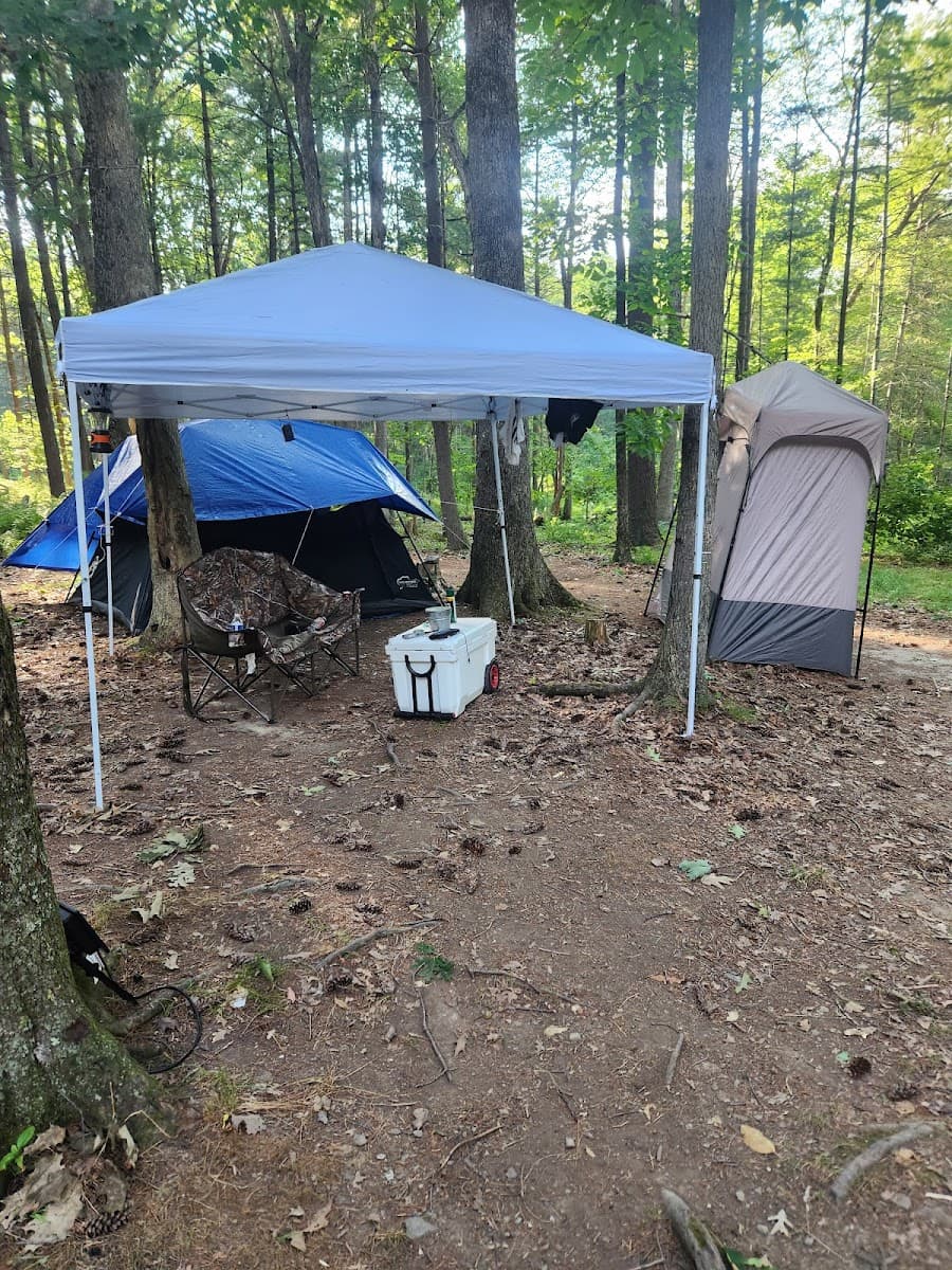 Primitive Campsite #5