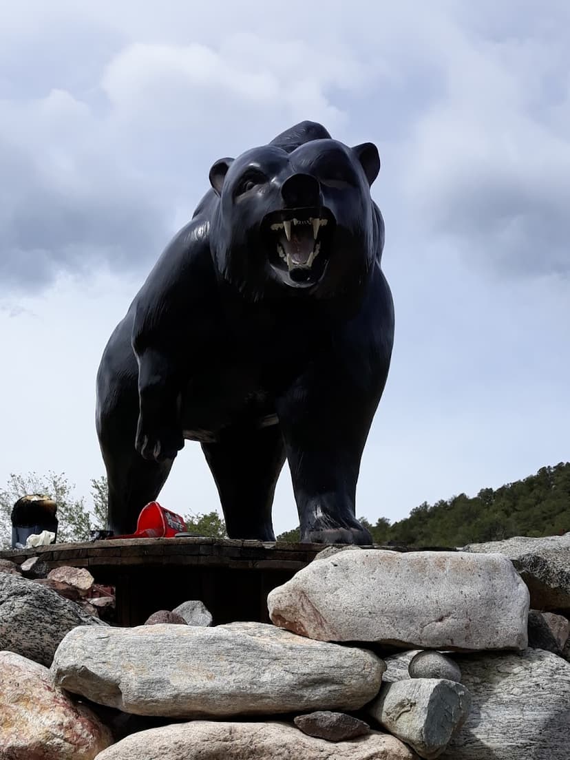 Black Bear RV Park , Campground & Boutique Motel