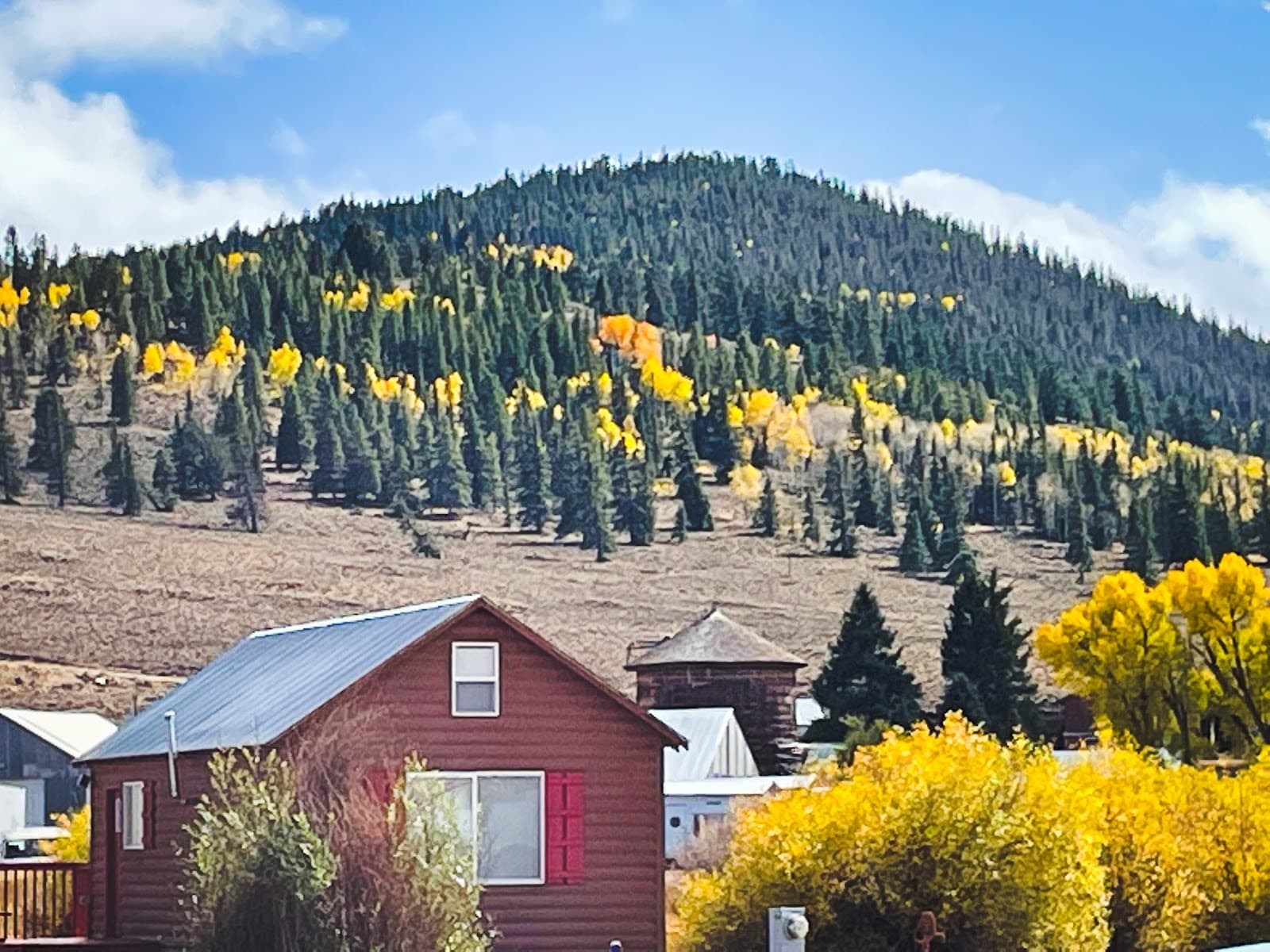 Tomichi Creek Trading Post