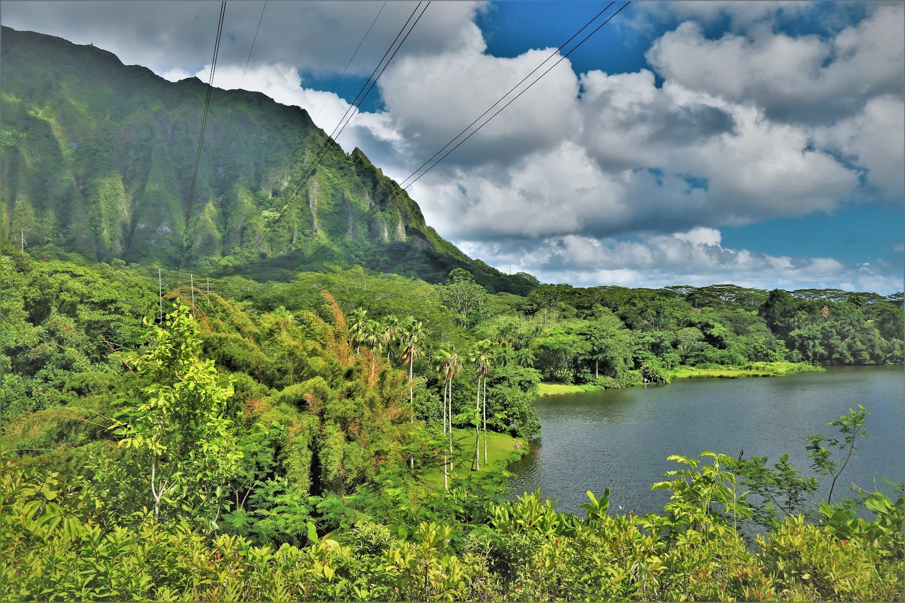Kahua Kuou (Ho'omaluhia) Campsite
