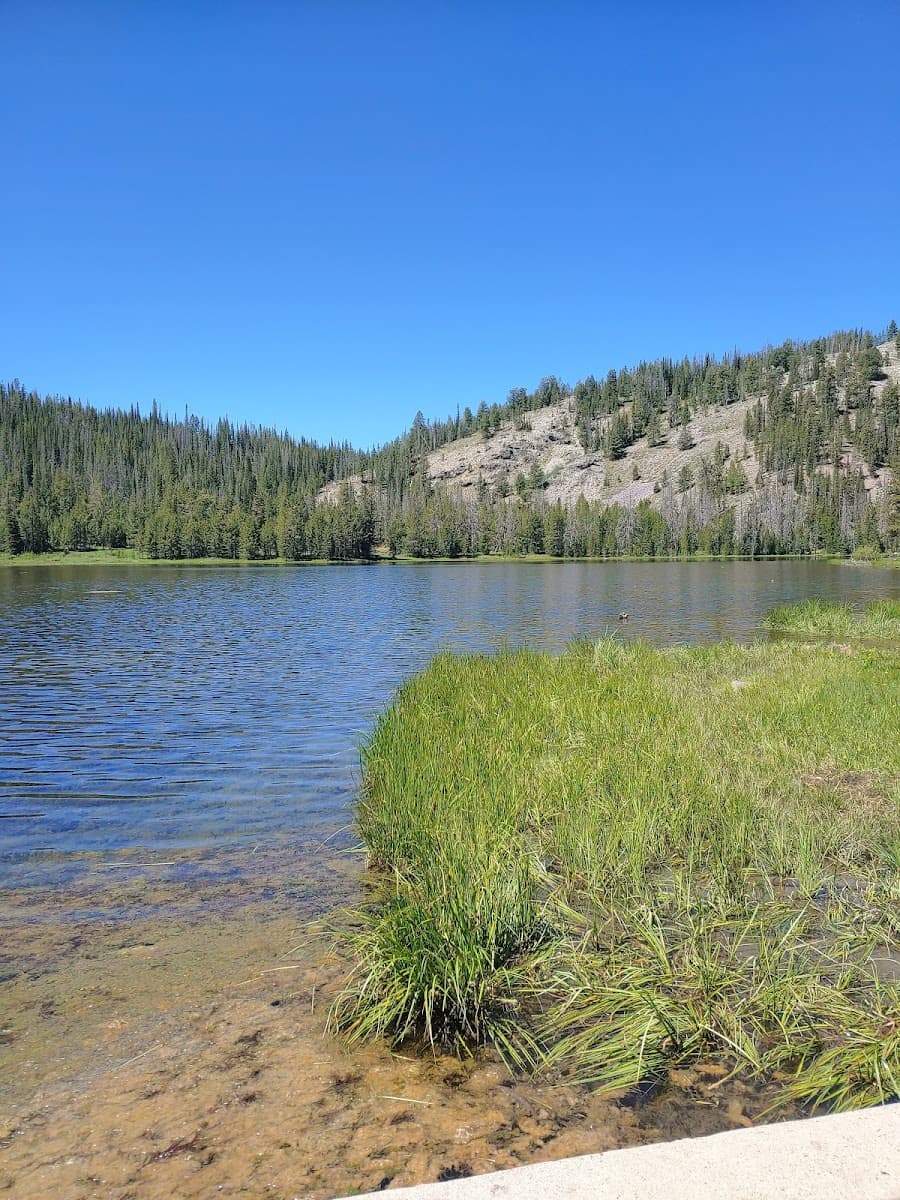 Little Bayhorse Lake Campground