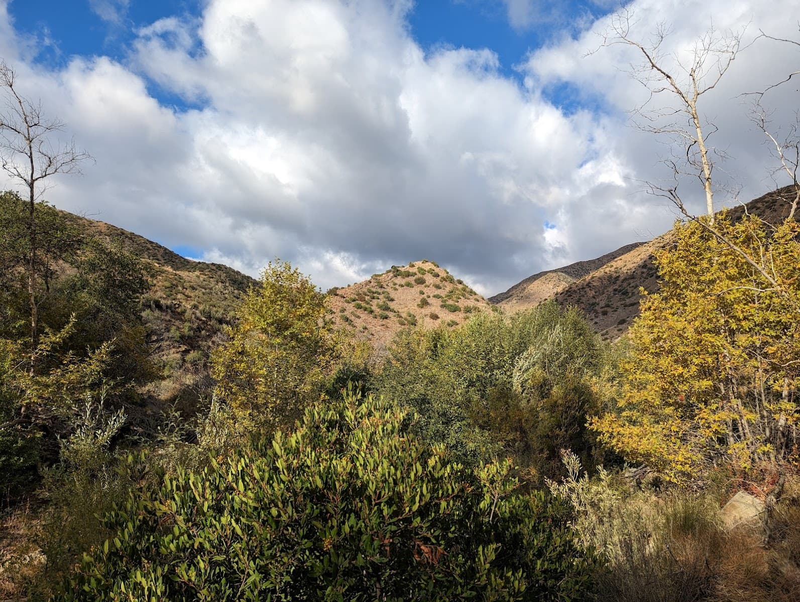 Middle Matilija Campground