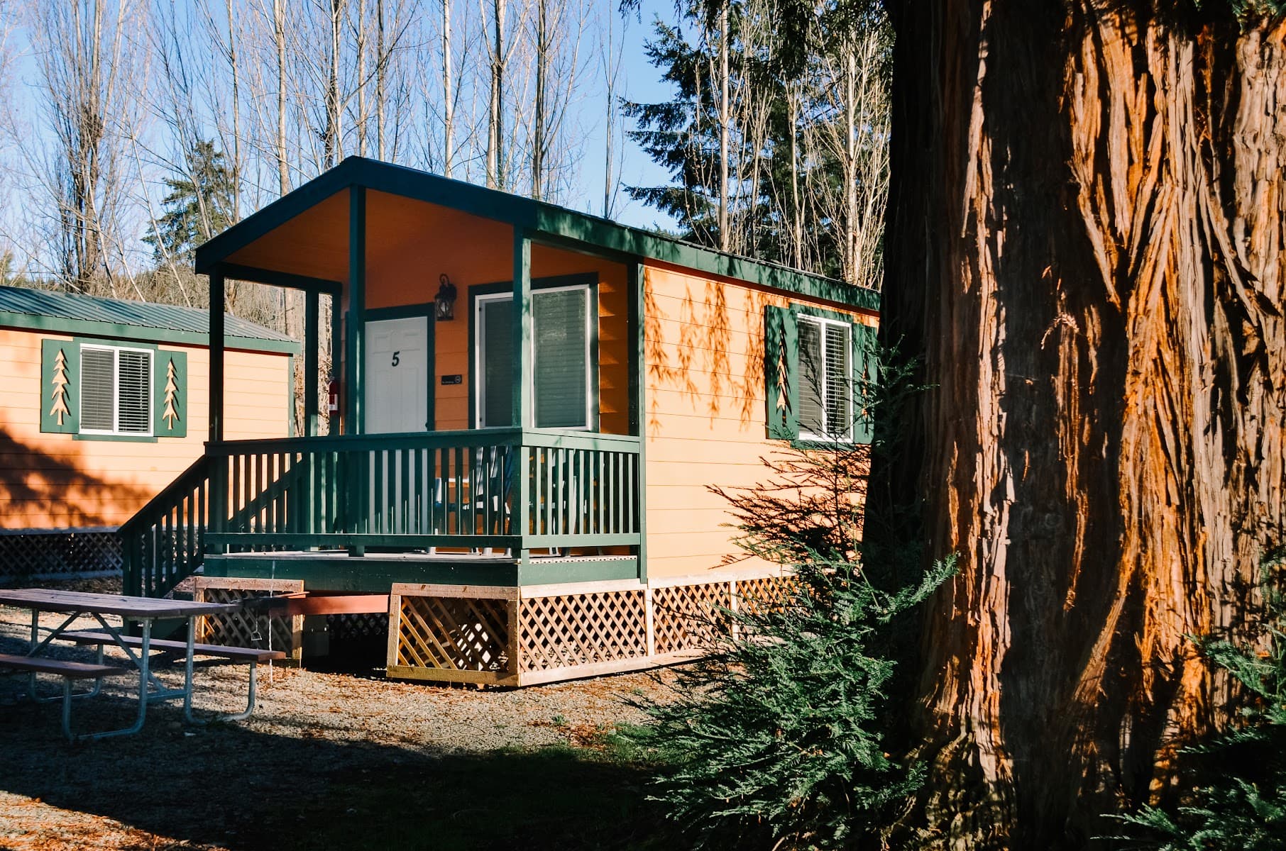 Giant Redwoods RV & Cabin Destination