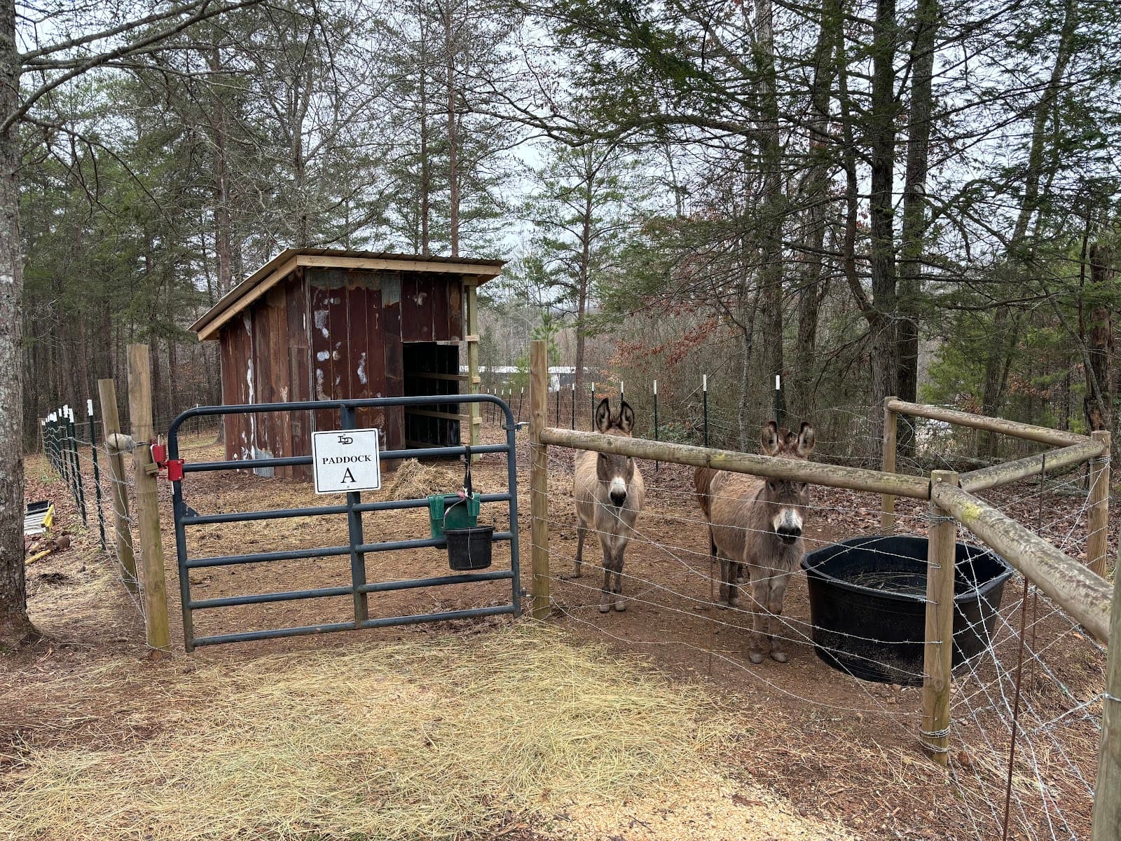 Lonesome Dove Campground and RV PARK, LP