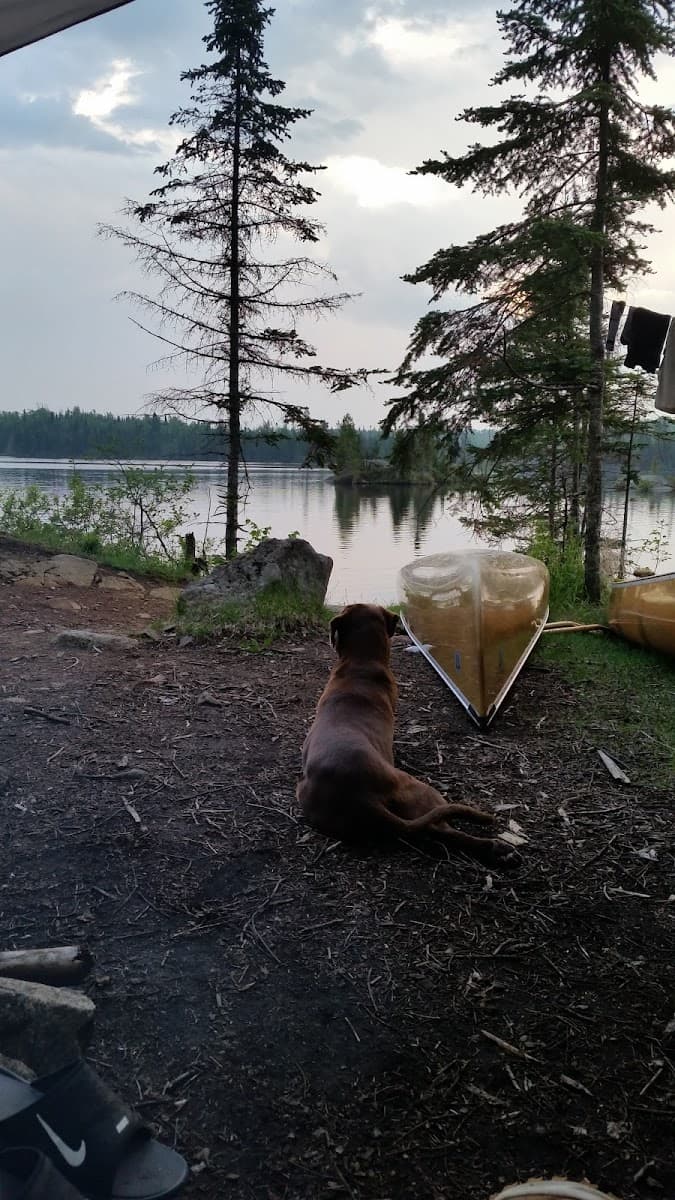 BWCA Campsite #910