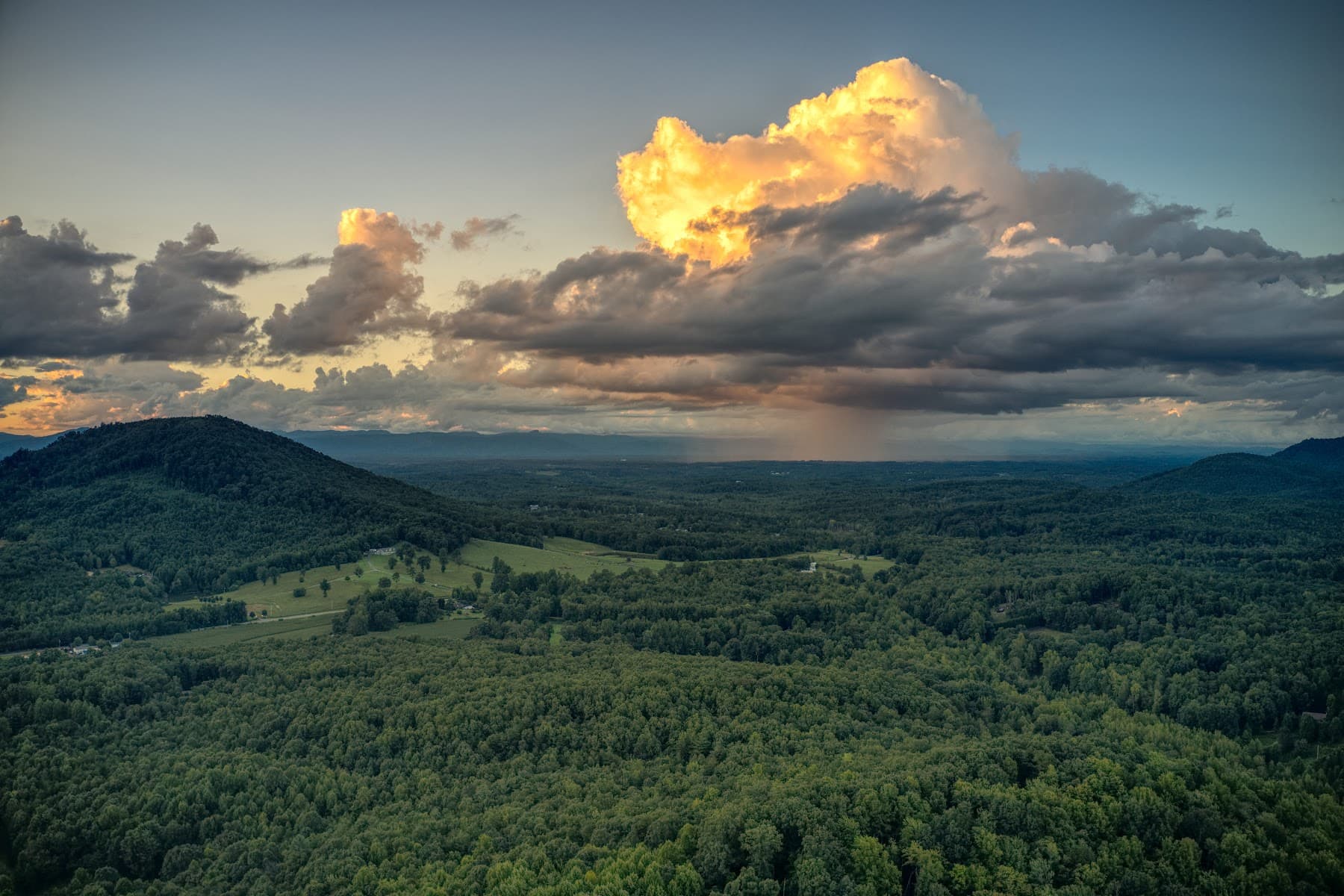 Bolin Knob Meadows