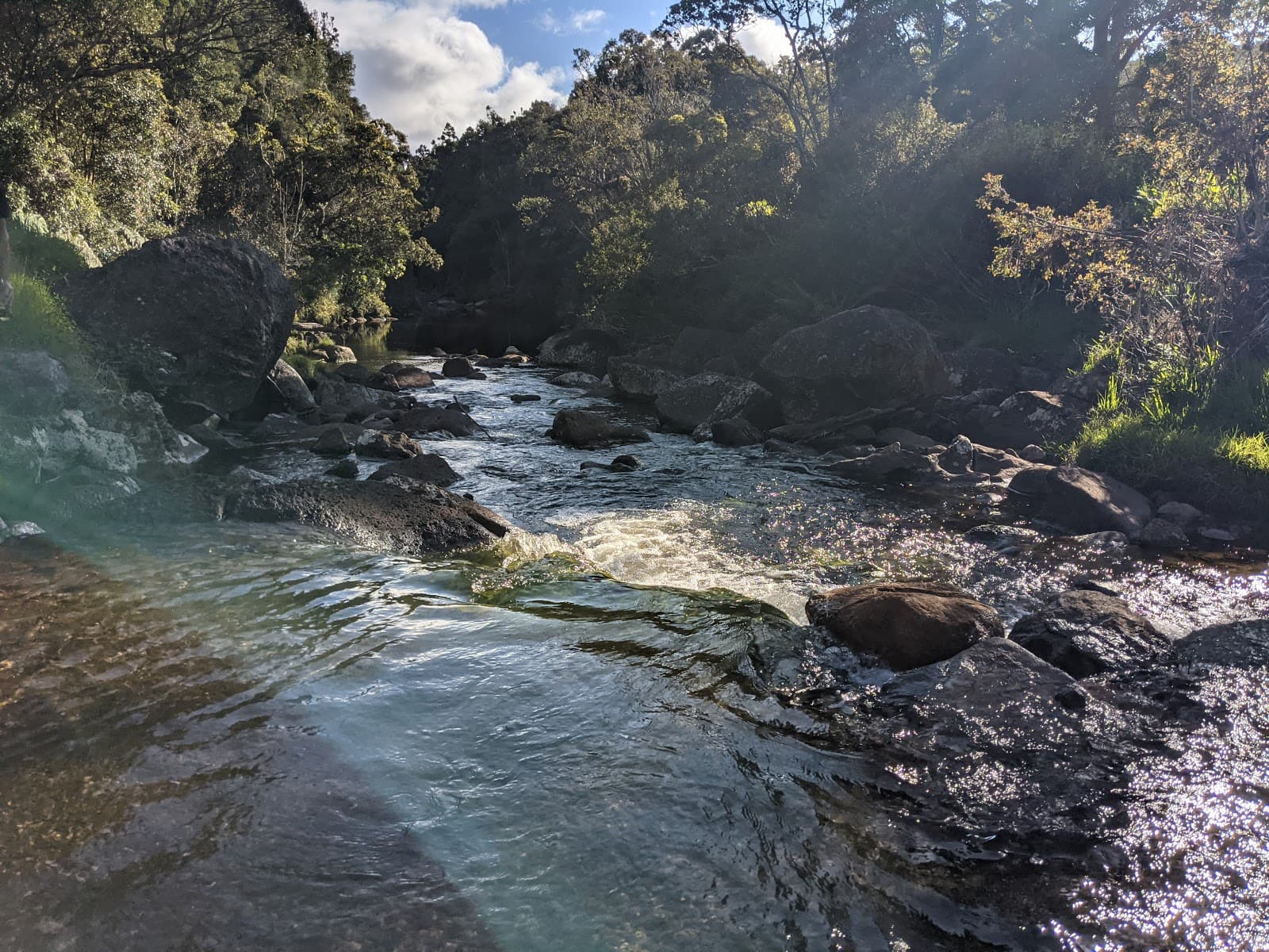 Sugi Grove Campground