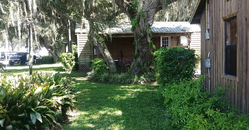 Grape Hammock Fish Camp & Airboat Rides