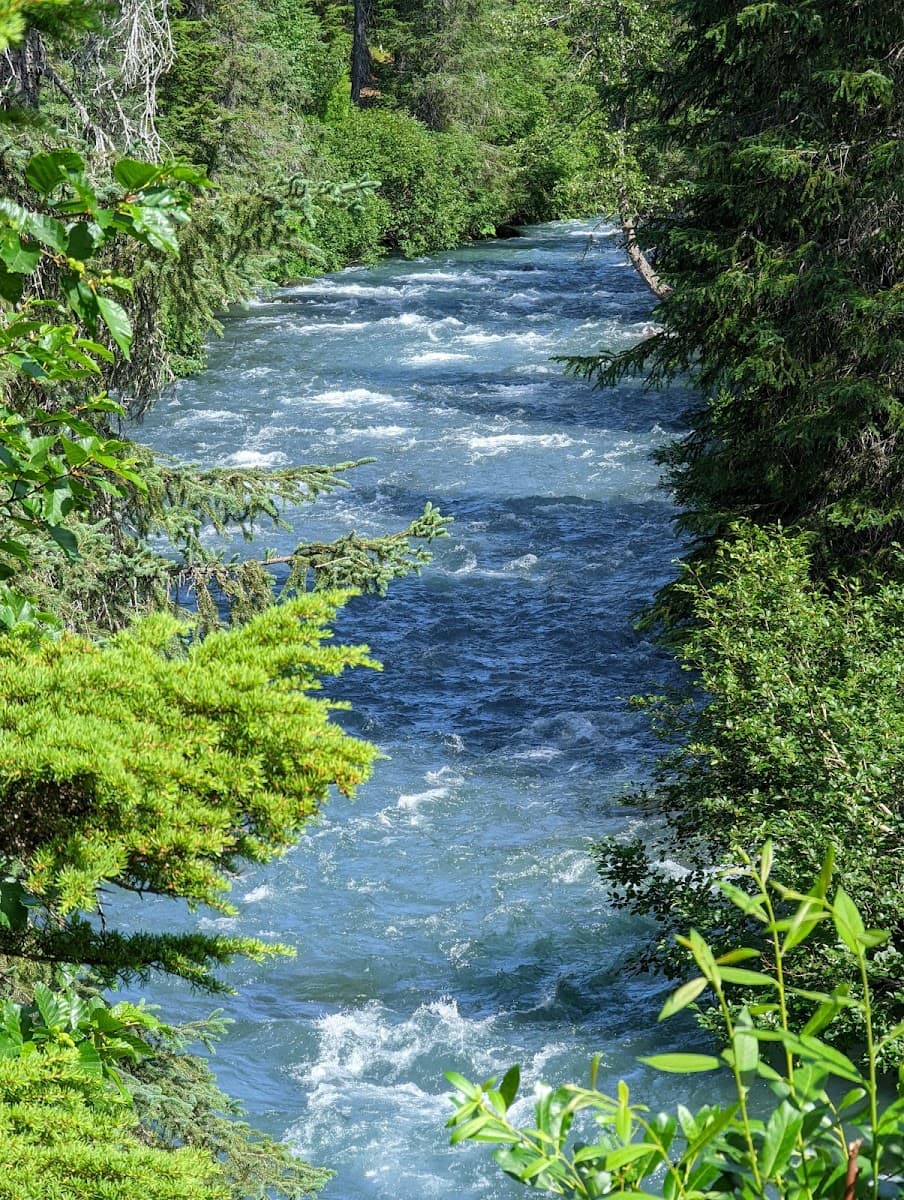 Ptarmigan Campground