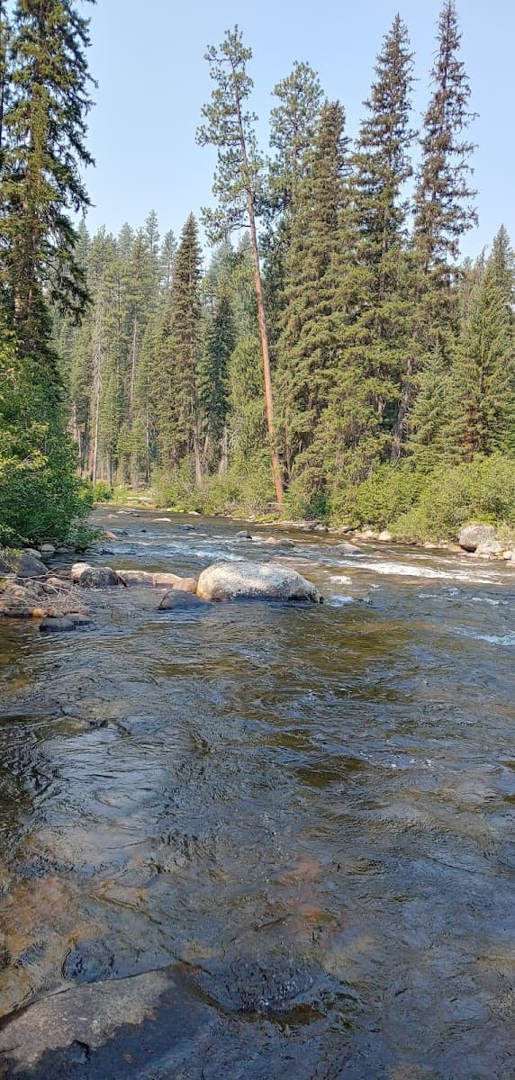 Ponderosa Campground