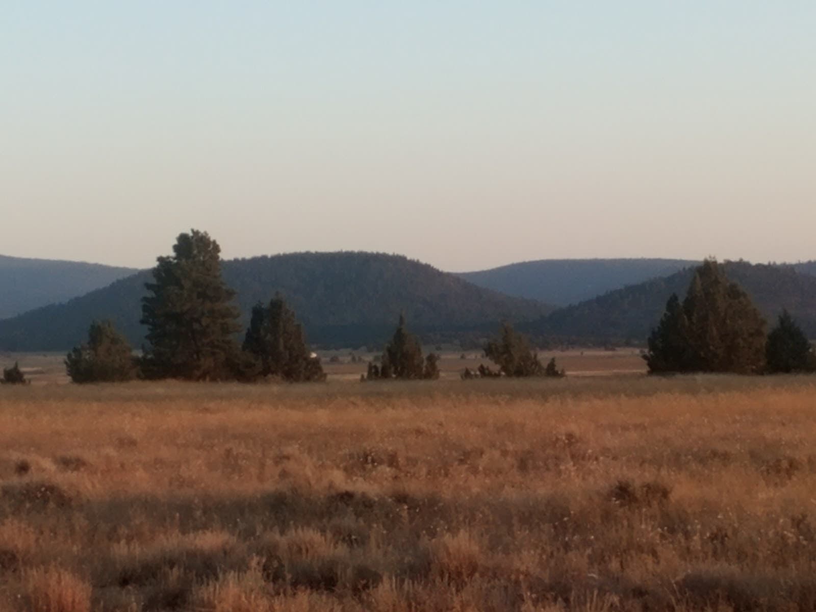 Golden Acred Ridge Estate