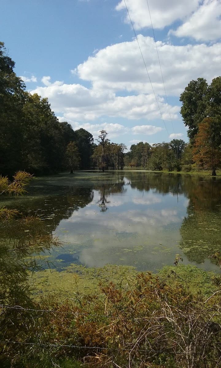 Morgan's Landing & RV Park