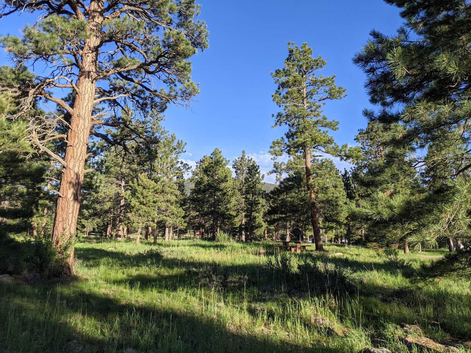 Greens Lake Campground