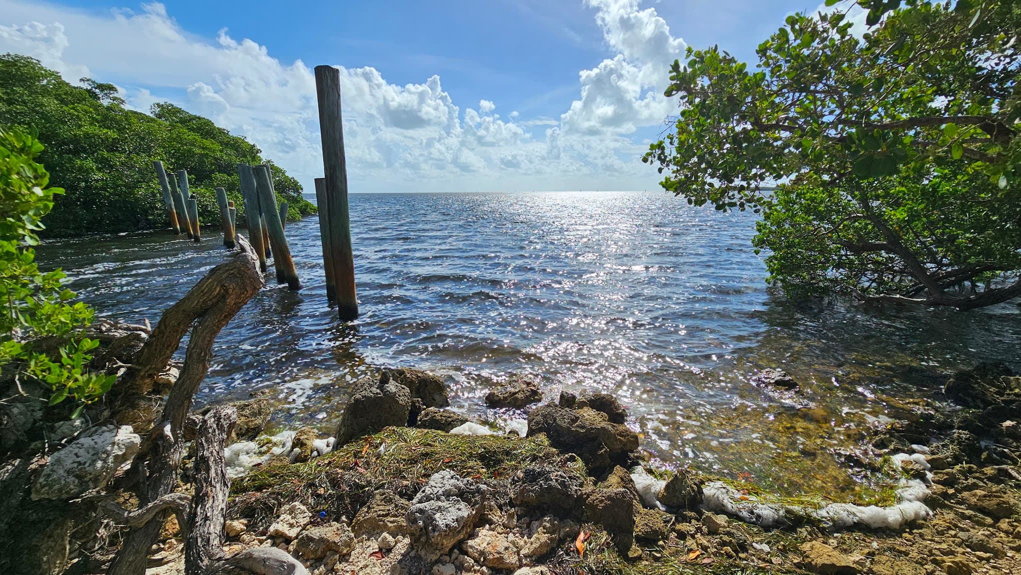Port Bougainville Campsite
