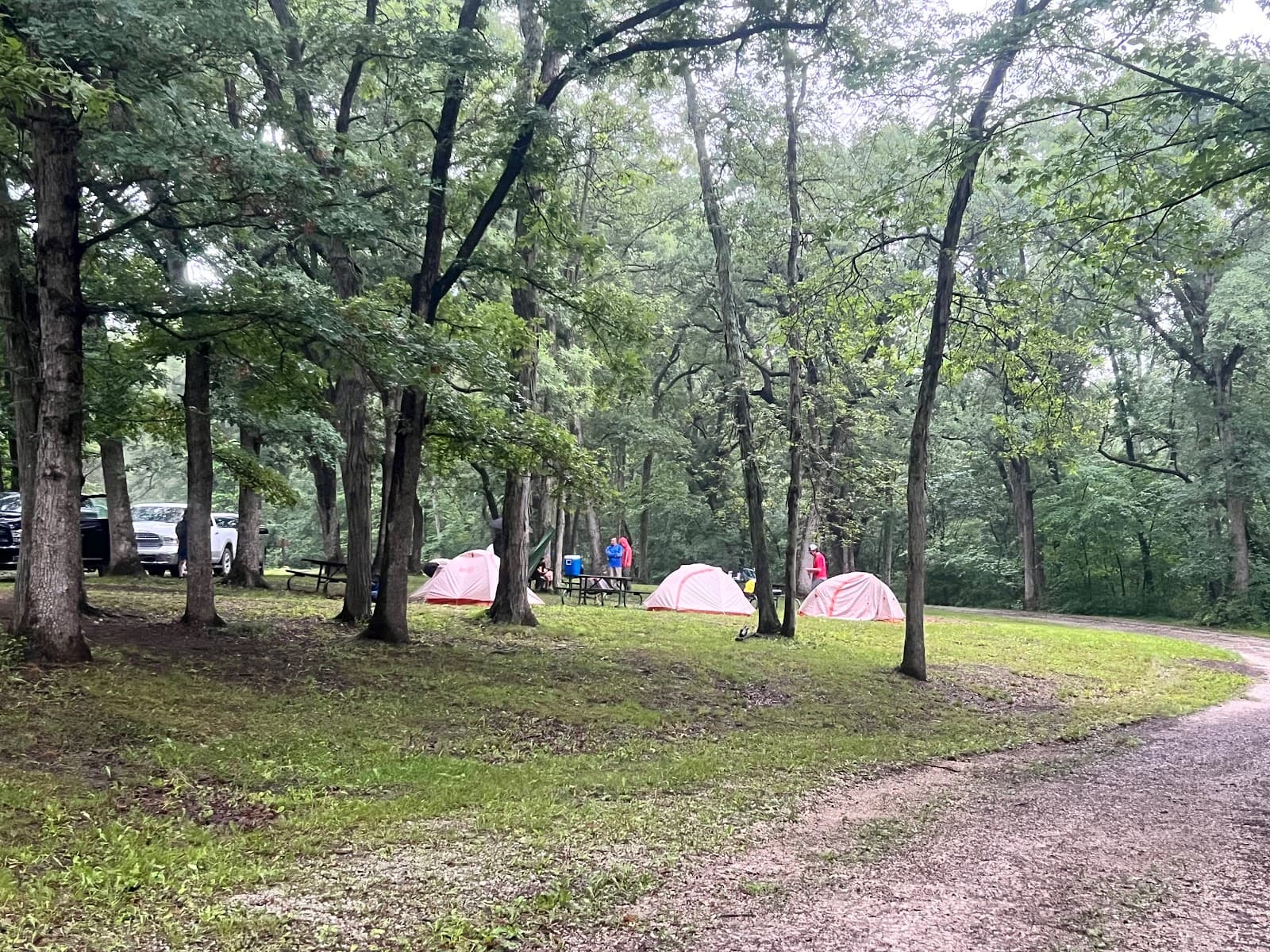 Stephen's Forest Boy Scout Camp Y0003