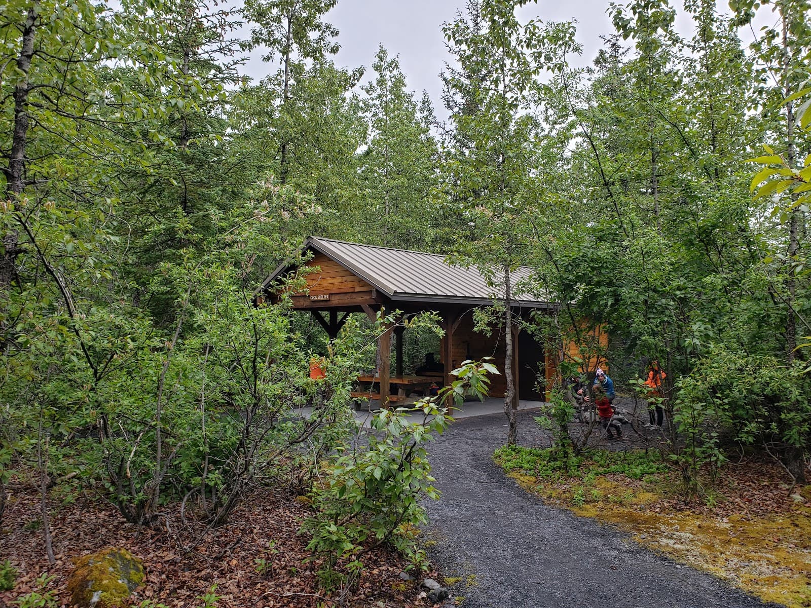 Exit Glacier Campground