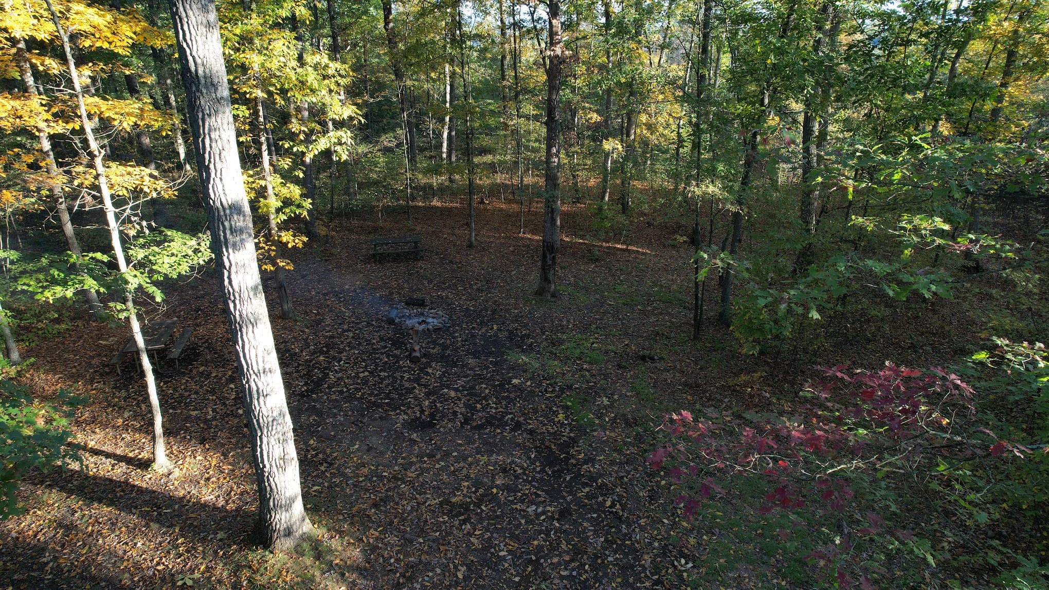 Green Ridge State Forest Campsite #8