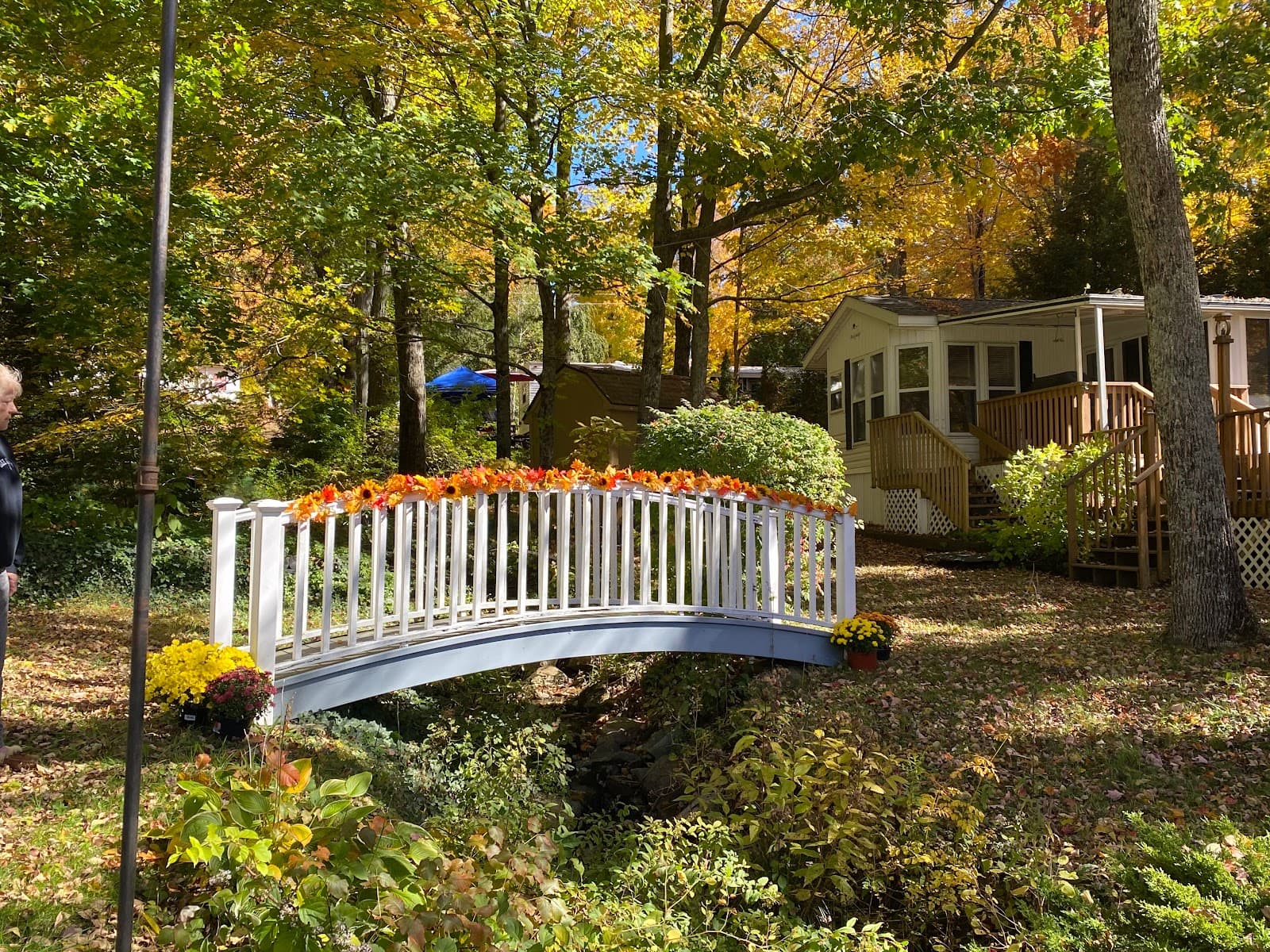 Roaring Brook Co-Op Camp