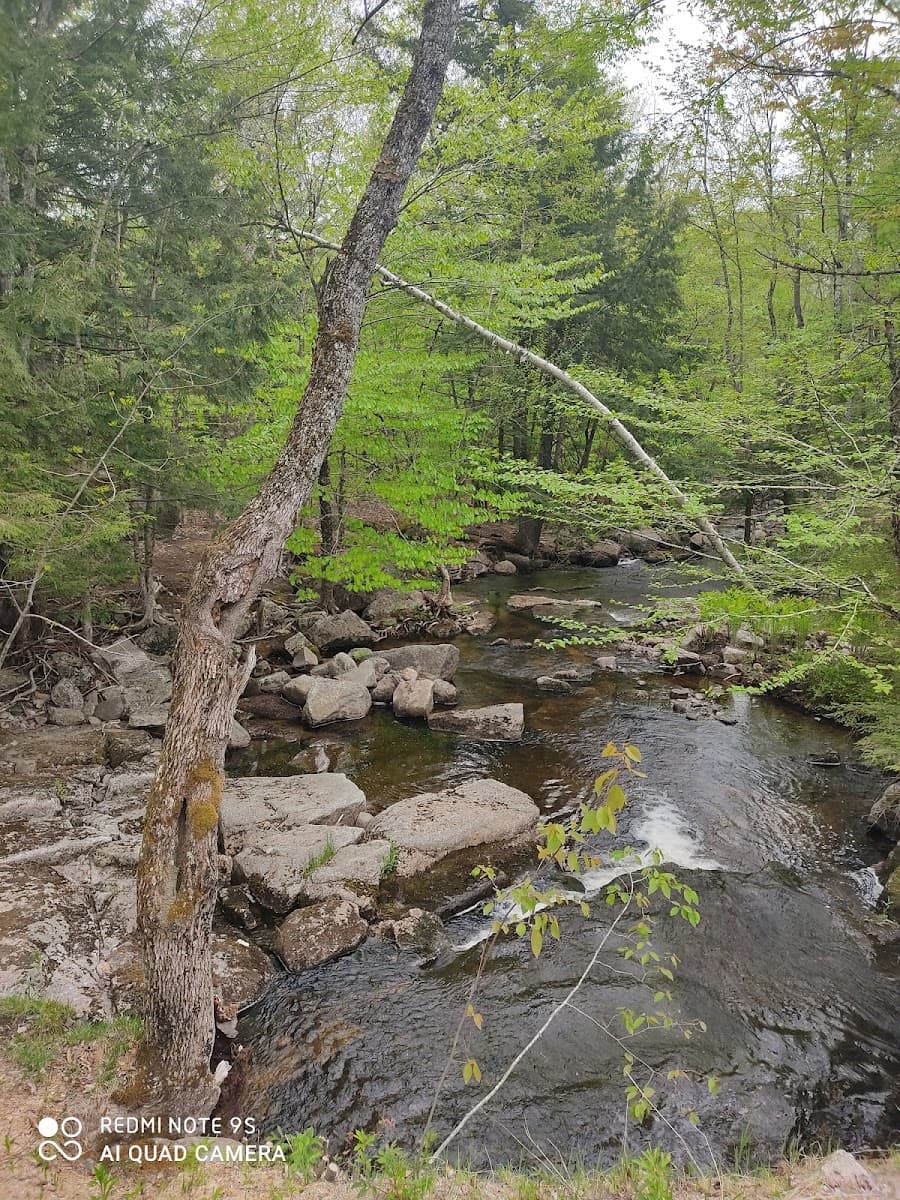 Greenlake Water Sports