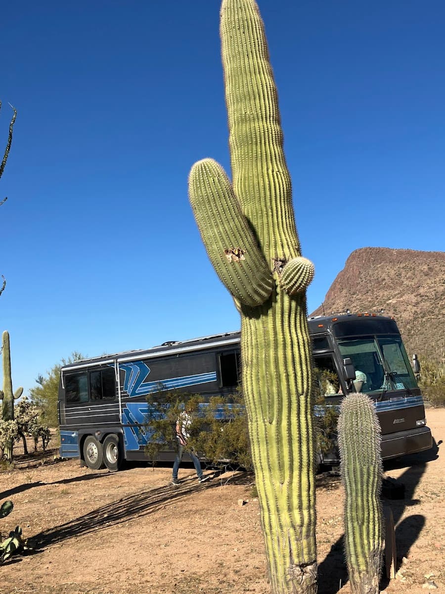 China Cabinet Ranch - Tucson, AZ