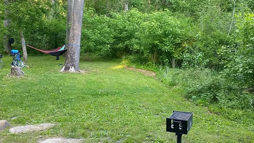 Cacapon Junction Campsite