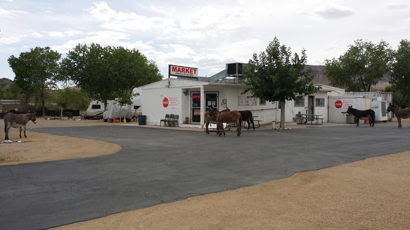 Space Station RV Park