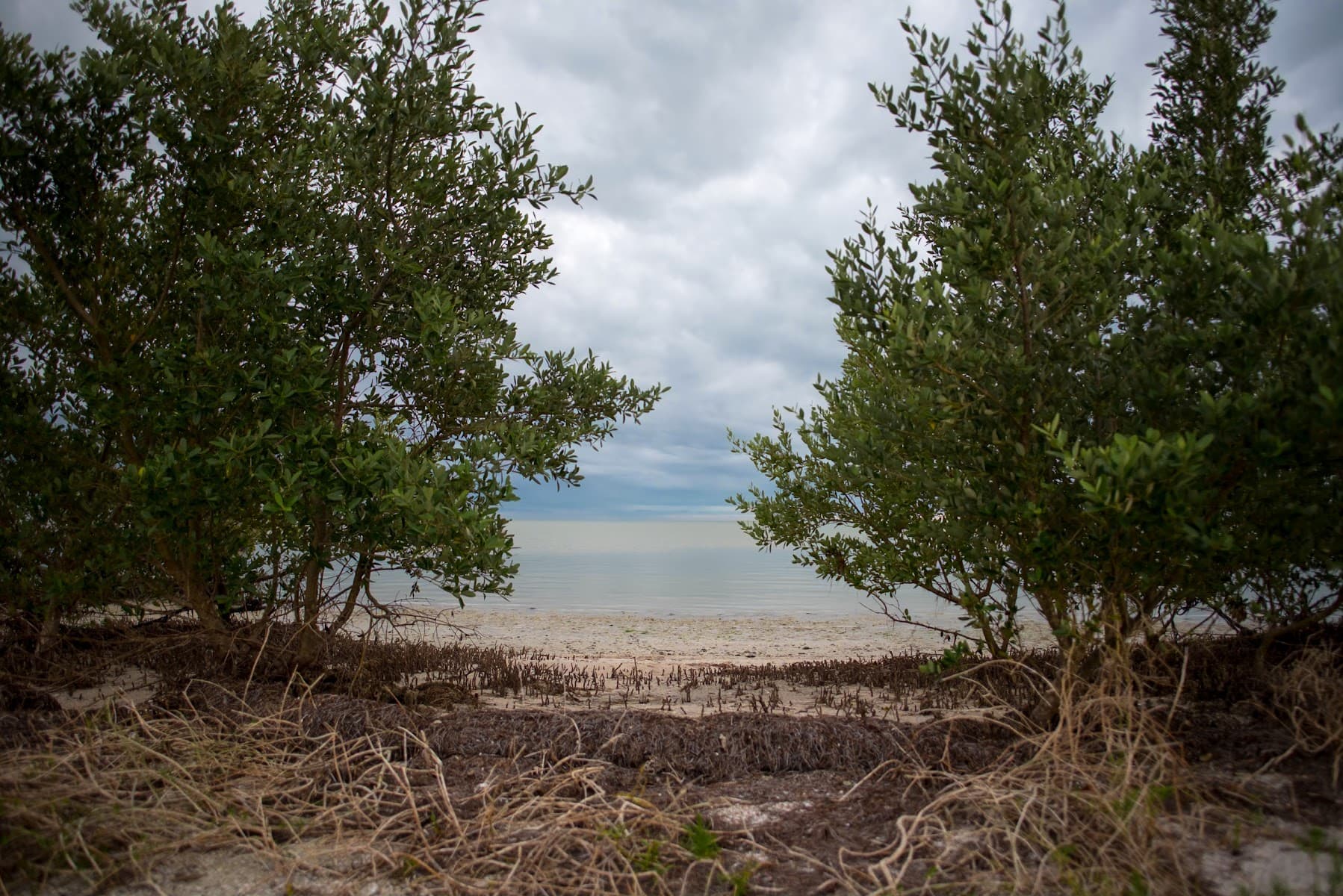 East Clubhouse Beach