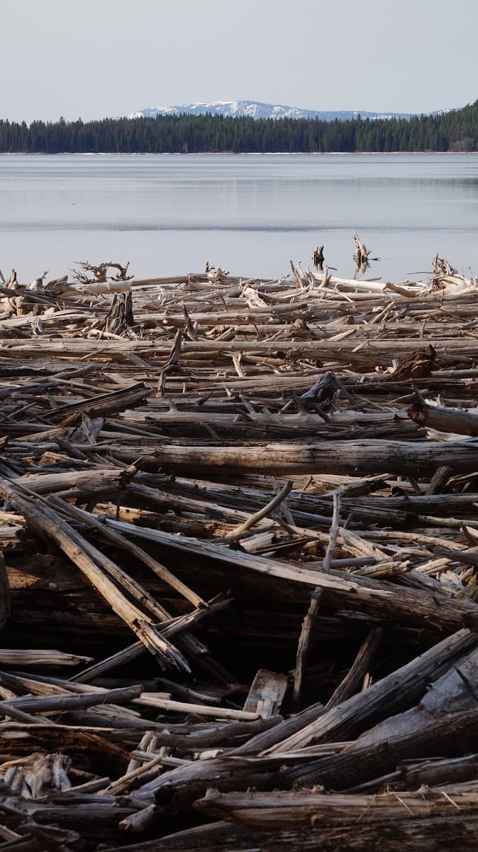 Lake Fork Campground