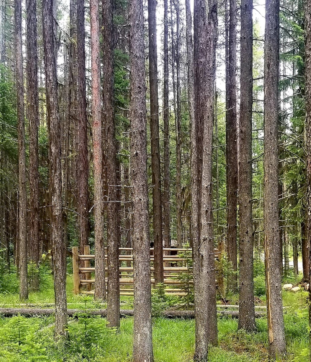 Jungle Hill Campground