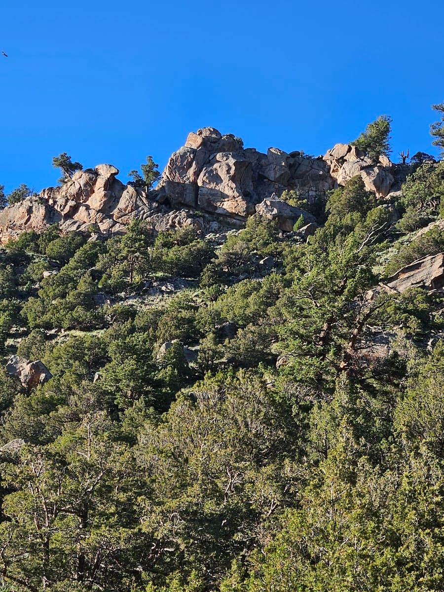 Bennett Creek Campground