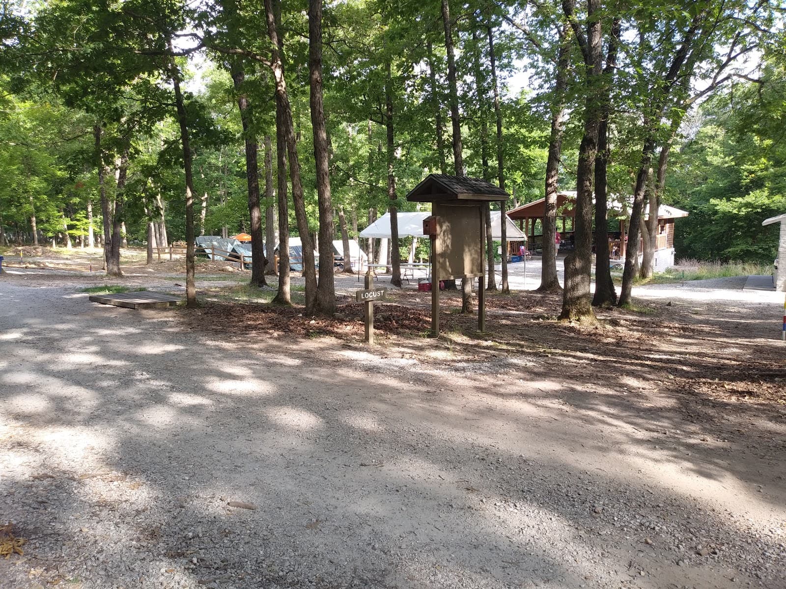 Locust Campsite