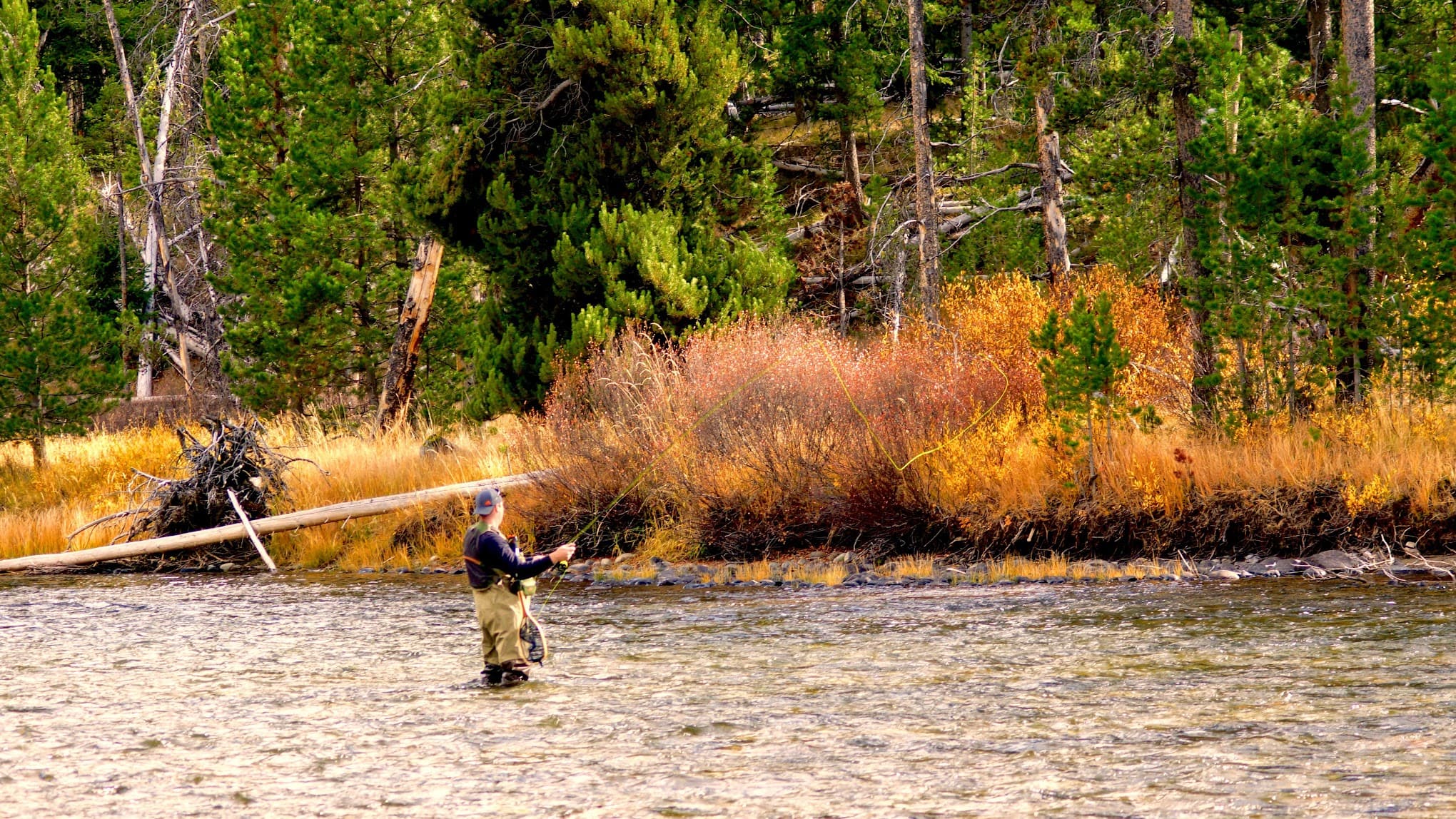 Mormon Bend Campground