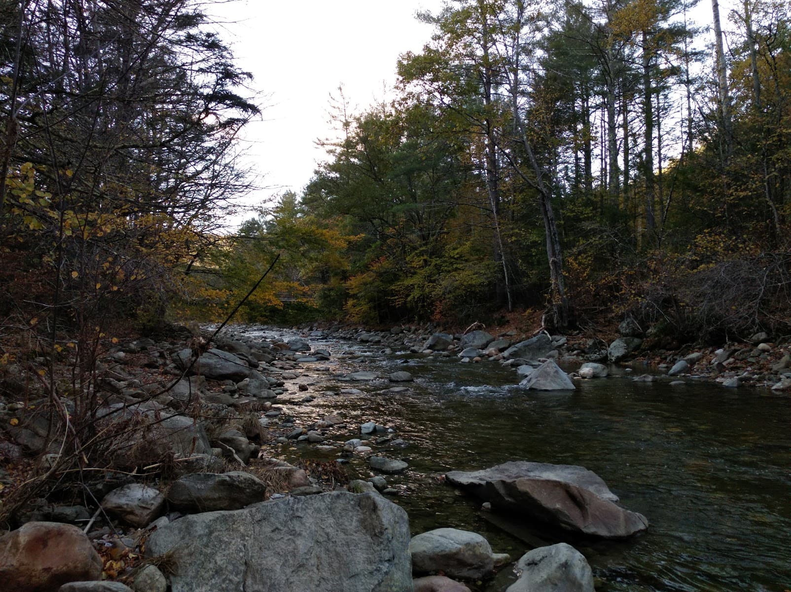 Mass Commonwealth-Environ