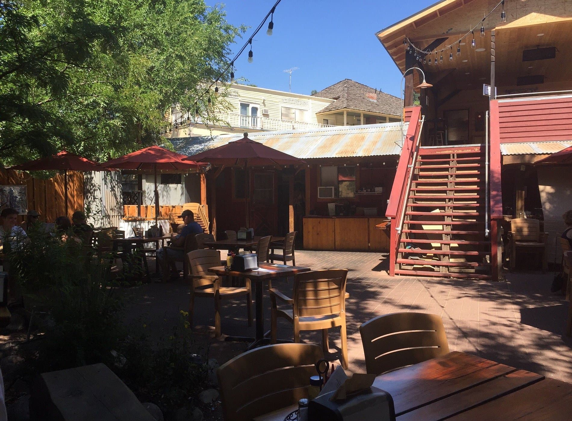 Pine Near RV Park & Campground