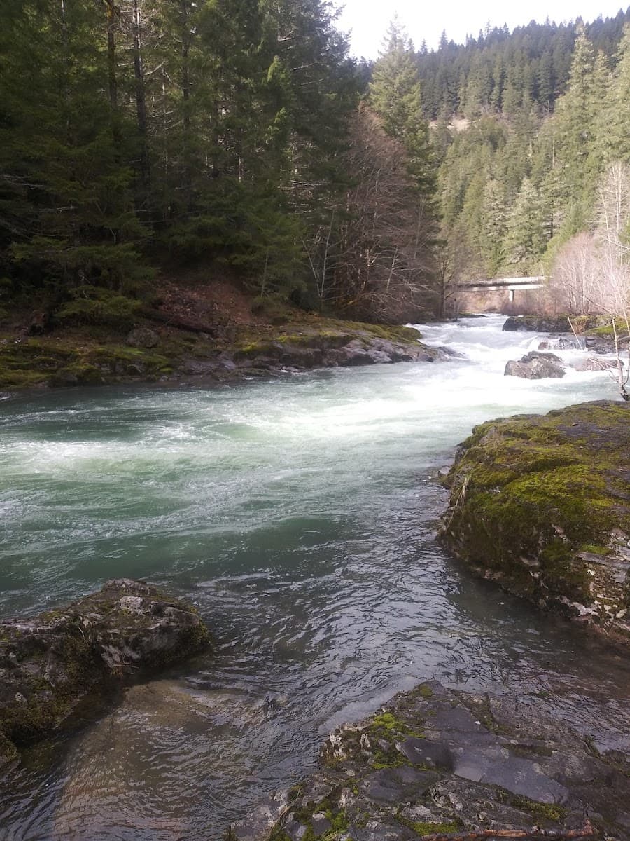 Canton Creek Campground