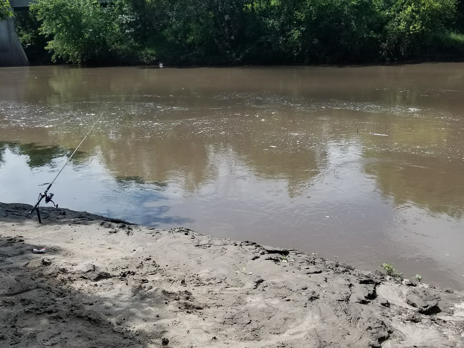 Catfish Run WMA, Kayak Landing