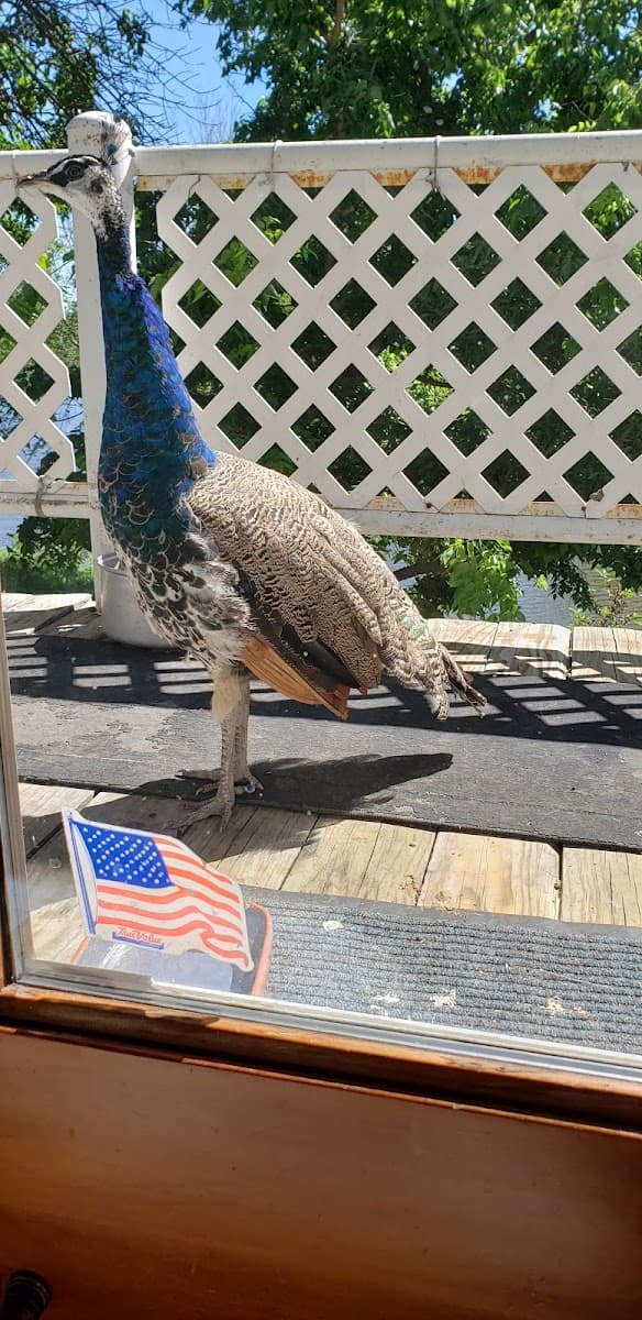 Seidels RV Park and Campground