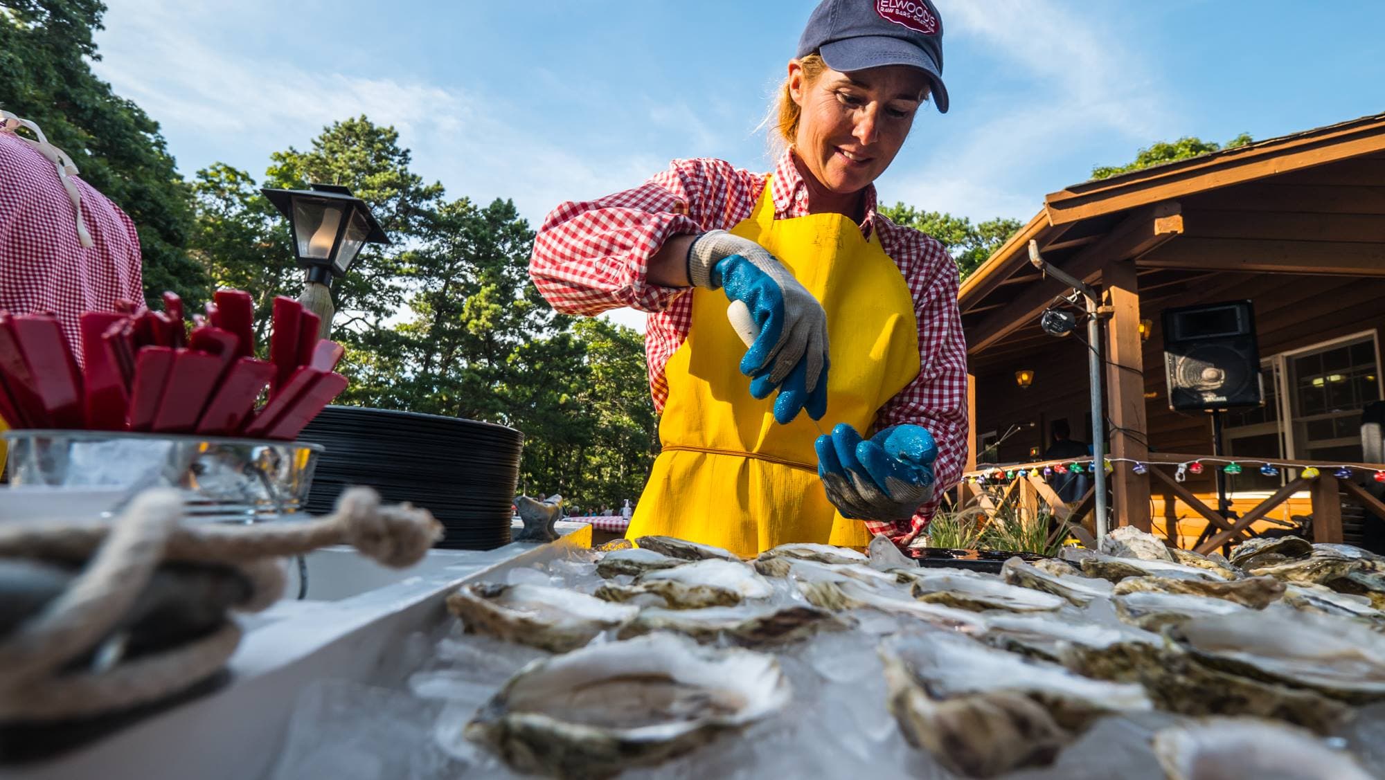 Sweetwater Forest Cape Cod Family Campground